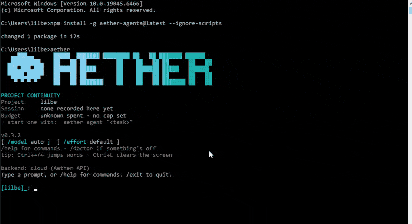 Aether Agent installing and opening in a Windows terminal